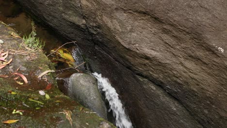 Arroyo-De-Agua-Dulce-En-Roca-Cubierta-De-Musgo-En-El-Bosque