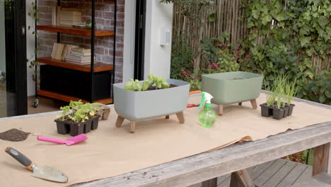 gardening on patio, various plants and tools arranged on wooden table
