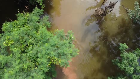 vista superior de la gente caminando en la calle inundada en battambang, camboya - toma aérea de drones
