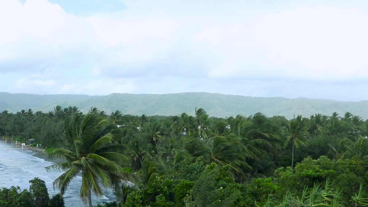 View of palm trees blowing in the wind and waves coming into the beach from a elevated tropical viewpoint