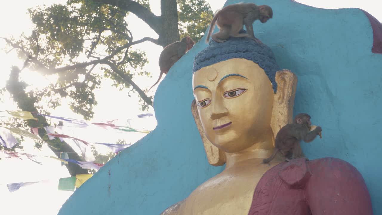 Macaque Monkeys Playing On The Head Of Buddha Statue In Swayambhunath Stupa In Kathmandu, Nepal. - close up shot