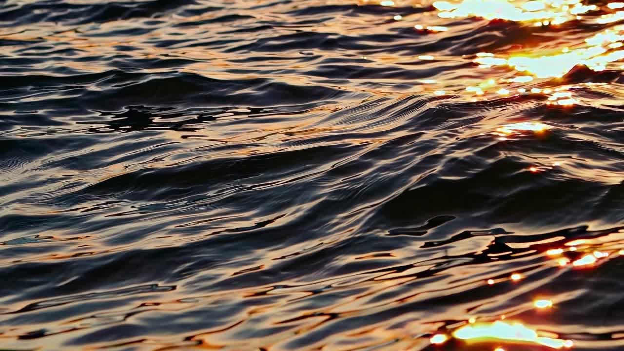A mesmerizing video of sunlight reflecting on gentle ocean waves, captured from a low angle