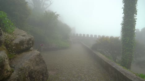 fog covering whole stone path in moors castle