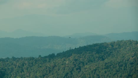 cloudy sky with bird
