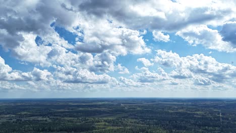 green woodland and fluffy white clouds flowing, time lapse view