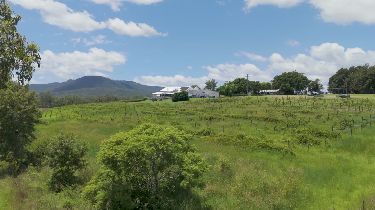 태양 전지 패널 을 장착 한 와이너리 의 공중 사진