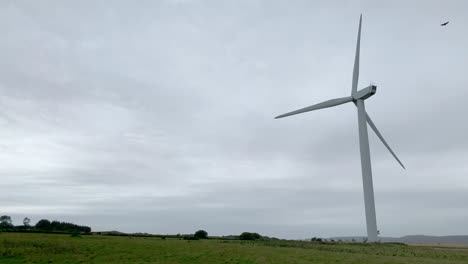 toma estrecha de un singular aerogenerador girando en un parque eólico de northumberland en un día nublado