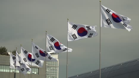 line of south korean flags waving on flagpole flagstaff on sky background in ddp dongdaemun design plaza, seoul south korea