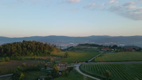 puesta de sol en un viñedo en el norte de portugal