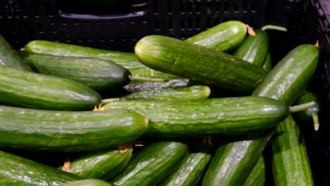 cucumber harvest on the stall of the vegetable market, slow motion, 240 frames per second