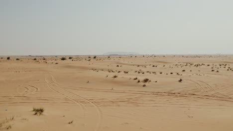 paisaje desértico con dunas y senderos