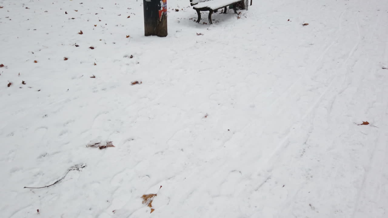 눈  ⁇ 에 있는 공원 벤치 hd 베를린 독일 겨울 시간 6초 60fps