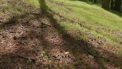 Low-angle-shot-along-forest-floor-in-springtime