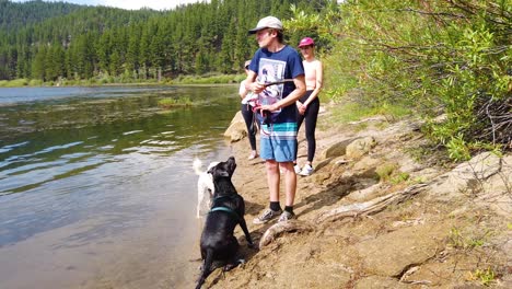 a man and woman throw a stick into a lake for their dog to fetch in slow motion 1