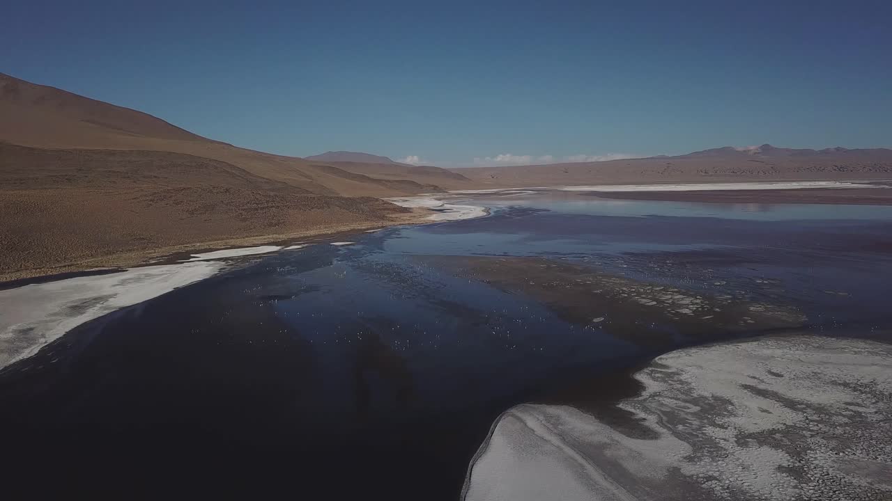 안데스 산맥을 배경으로 라구나 데 카나파 (laguna de canapa) 의 무시무시한 아름다움과 플라밍고 (flamingo) 의 우아한 안무가