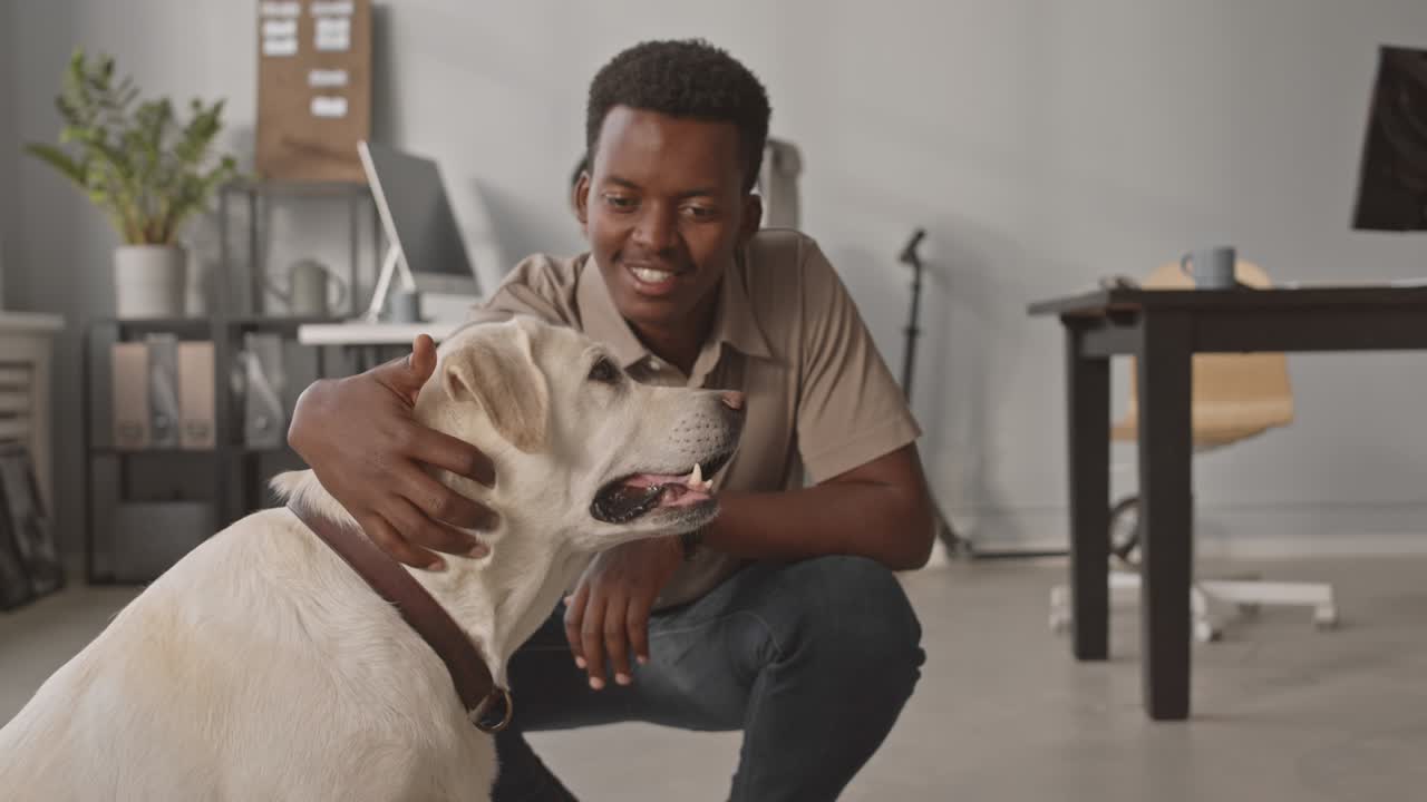 афроамериканский мужчина ласкает лабрадора в офисе