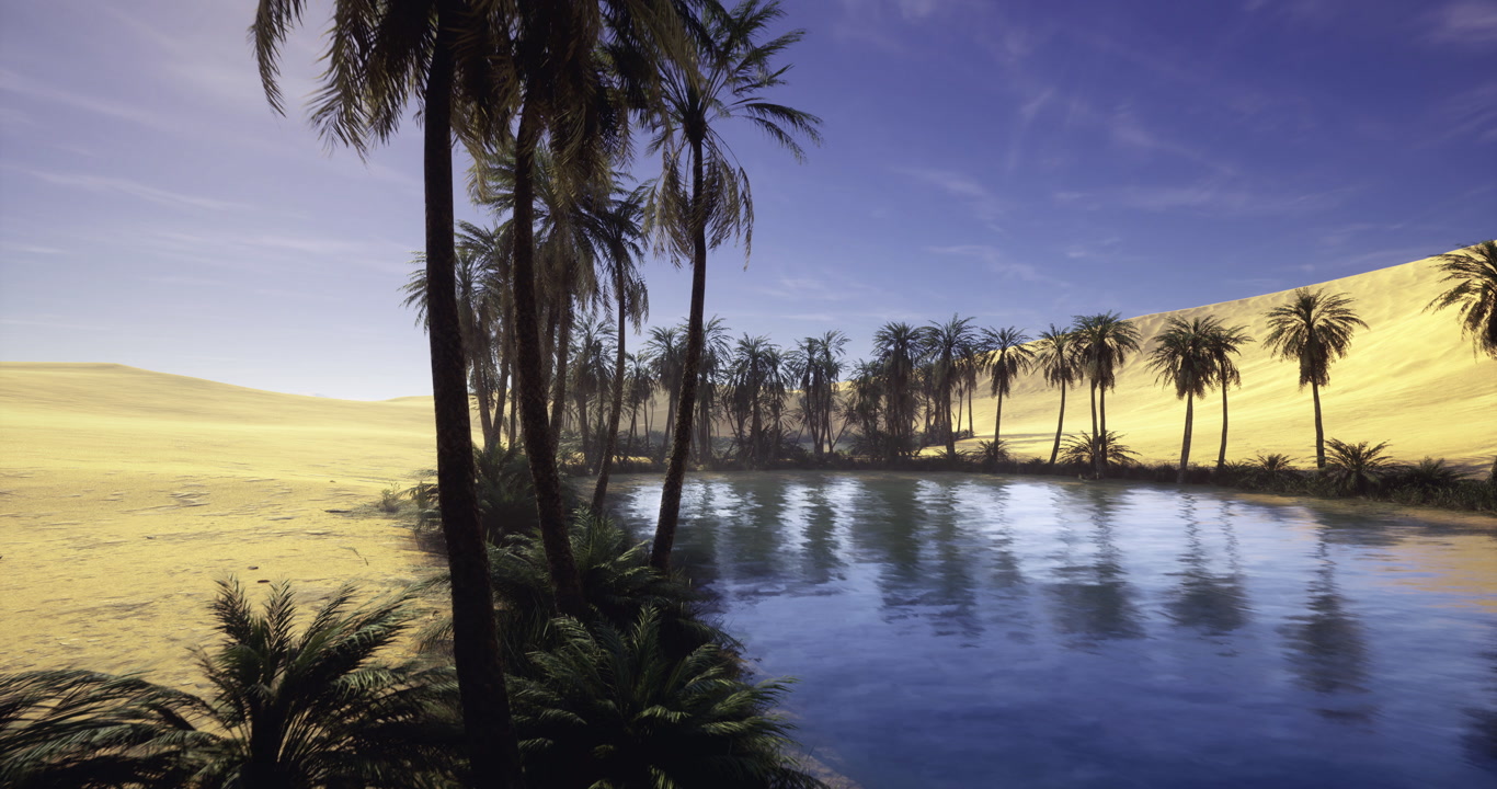Serene trail among palm trees peaceful walkway through lush palm grove