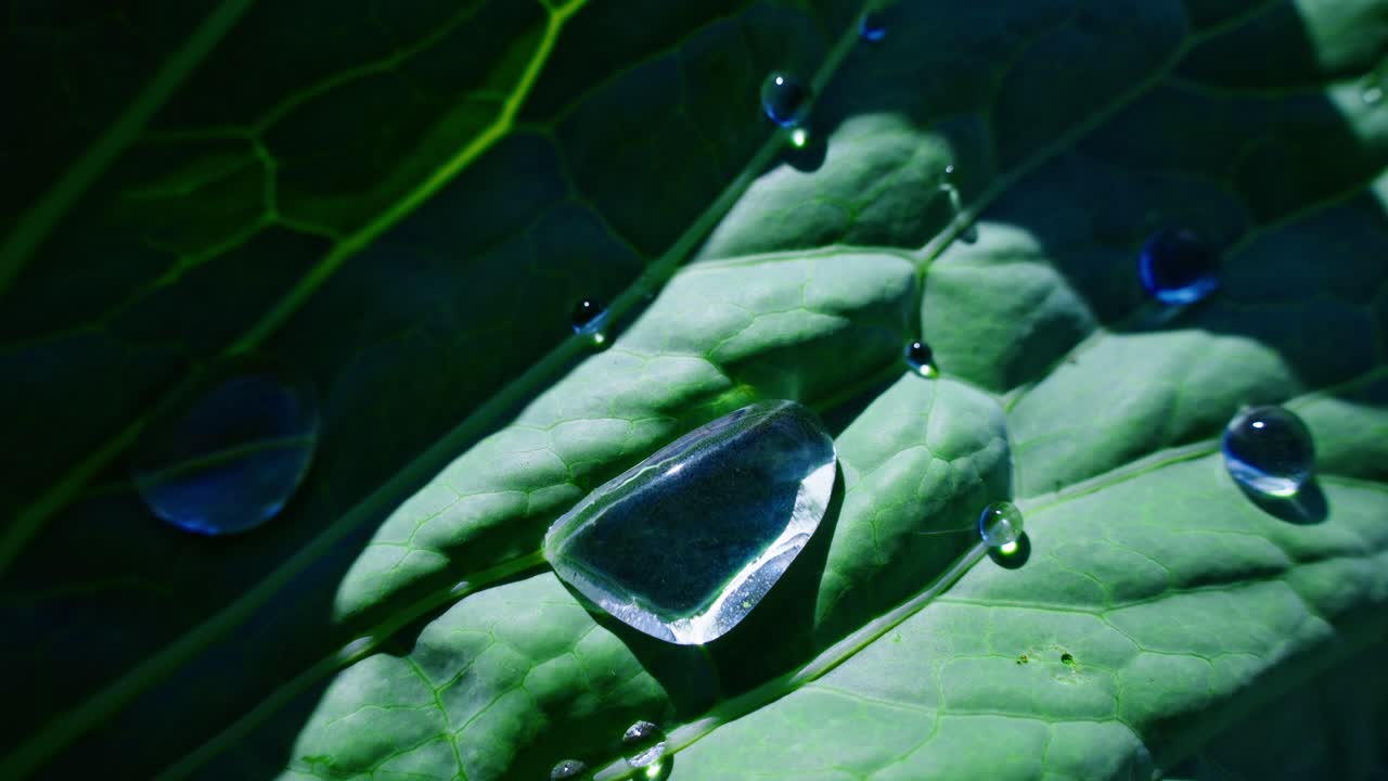 Foglia verde con goccioline d'acqua e cristallo che riflette la luce solare