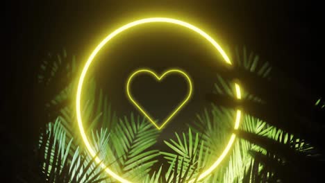 Animation-of-flashing-heart-and-yellow-neon-ring,-over-palm-leaves-on-black-background