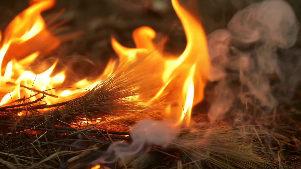 Lingue di fuoco gialle e arancioni si alzano e si piegano attorno ad aghi secchi mentre volute di fumo grigio salgono verso l'alto, proiettando una luce calda su ramoscelli incrociati contro uno sfondo scuro leggermente sfocato
