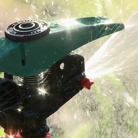 close up of sprinkler spraying water in oak view california