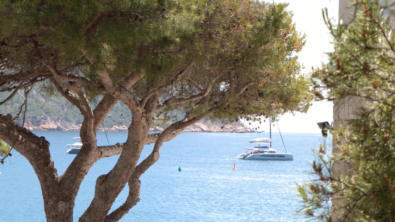 Plan large fixe d'un catamaran blanc flottant sur des eaux côtières calmes et turquoise.