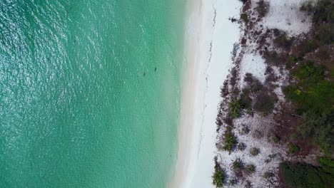 sok san beach in koh rong island, cambodia, showing palm trees, white sand and turquoise water. great aerial view flight vertical bird's eye view drone