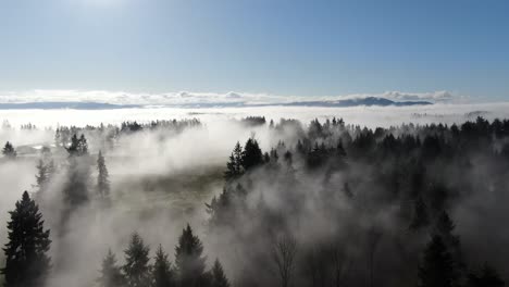 4k-drohnenflug über nebel und wolken über einer wildnislandschaft an einem strahlend sonnigen tag