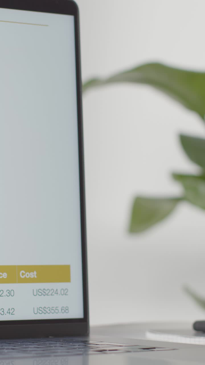 Vertical Video Laptop Screen Online Balance Owed US Electricity Energy Account