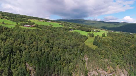 Aerial-view-of-a-forest-growing-on-a-mountainside-showing-the-beauty-of-norwegian-nature-in-summertime