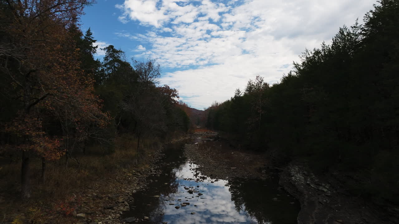 árboles del bosque a través de un arroyo al atardecer cerca de cedar flats en banyard, arkansas, ee.uu.