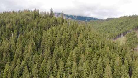 Dense-Coniferous-Forest-With-Mountains-In-Background-On-A-Cloudy-Day---aerial-ascending