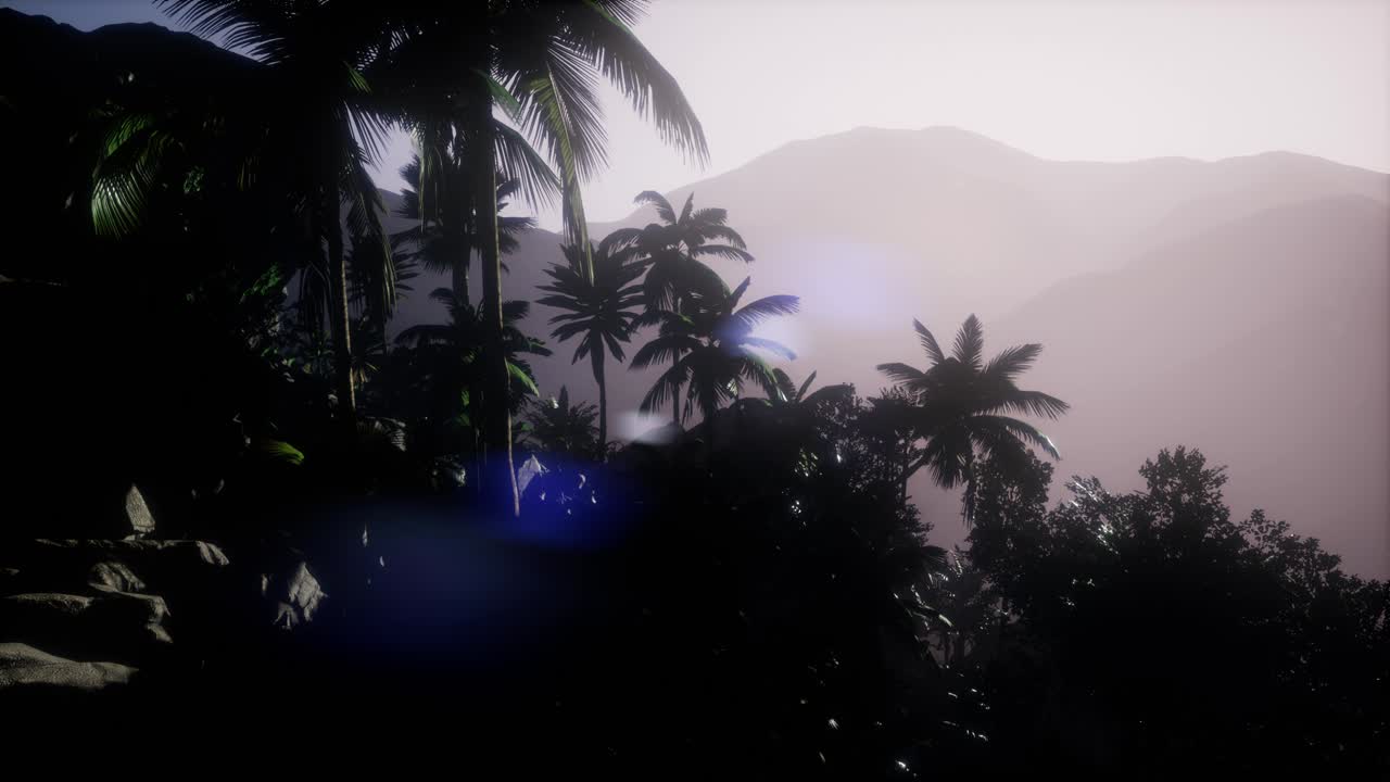 los rayos del atardecer a través de las palmeras