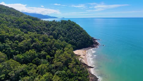 aerial drone footage glides above lush tropical rainforest meeting turquoise ocean at cape tribulation, with bright daylight and smooth cinematic movement