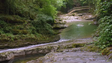 swimming in a mountain creek with a wooden bridge