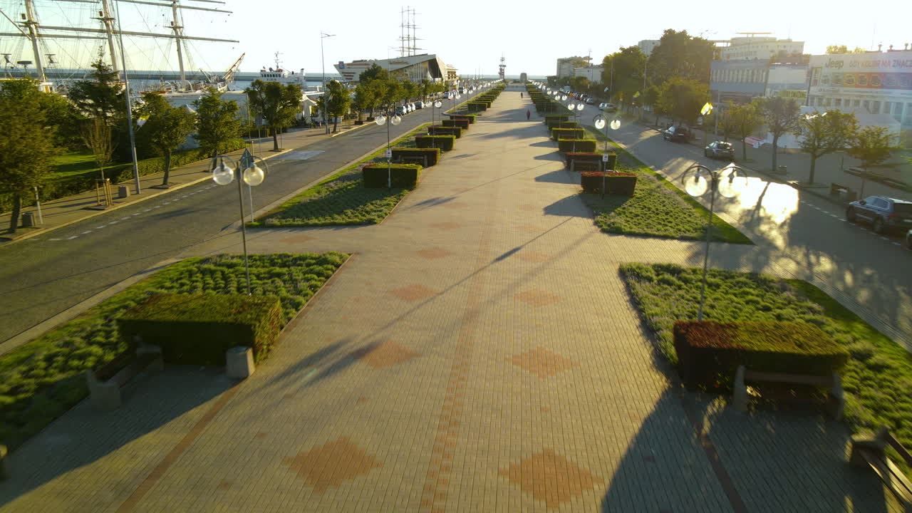 Hermoso paisaje de parque con plantas bien podadas entre los pavimentos en Gdynia, Polonia - Plano general