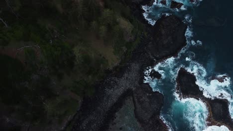 Beautiful-birdseye-view,-coastline-of-water,-rock-and-the-Norfolk-Island-Pine