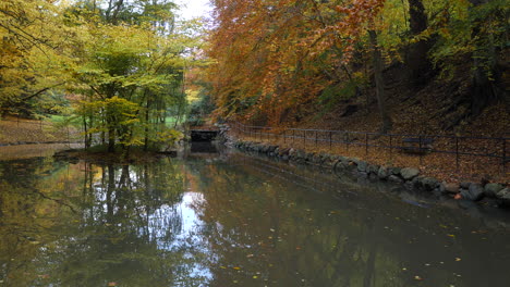 lake in autumn forest park