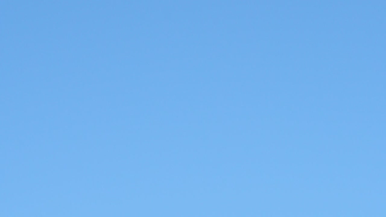 pinzón volando a través del marco en cámara lenta cerrar