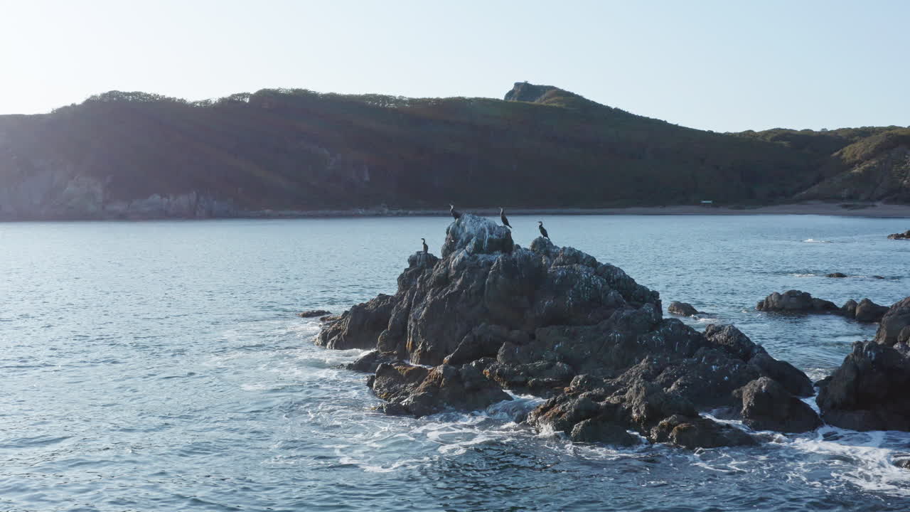 pájaros cormoranes de color oscuro sentados en la cima de las rocas, con olas aplastando las rocas, por la noche