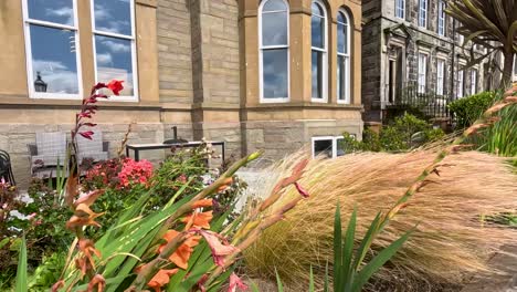 golden ornamental grass and vibrant flowers sway in the wind before a historic stone building with arched windows, captured in bright natural daylight with a steady camera