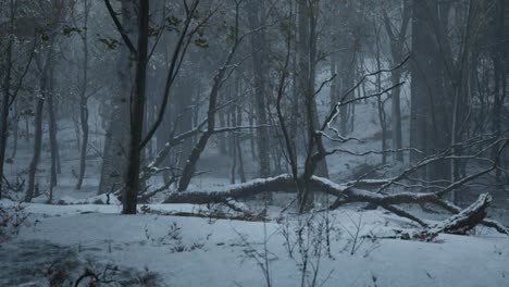 Un-Oscuro-Y-Espeluznante-Bosque-De-Pinos-En-Invierno,-Con-Niebla,-Nieve-Cubriendo-El-Suelo-Y-Cielo-Nublado,-Animación-3d,-Paisajes-Animados,-Cámara-Que-Se-Acerca-Lentamente