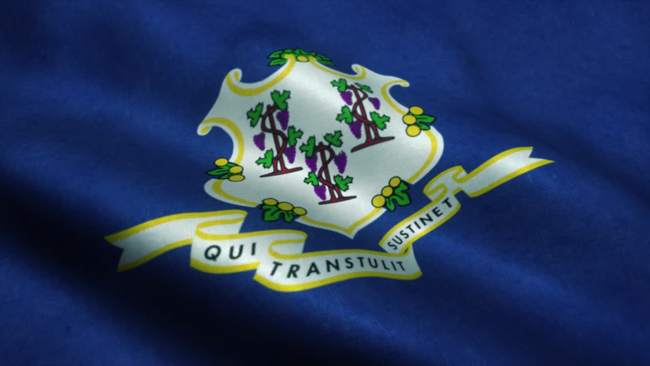 Connecticut State flag waving in the wind. National flag of Connecticut. Sign of Connecticut State seamless loop animation. 4K