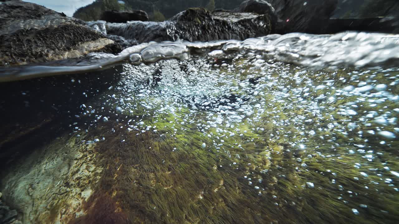 Uno scatto metà sopra e metà sotto la superficie dell'acqua.