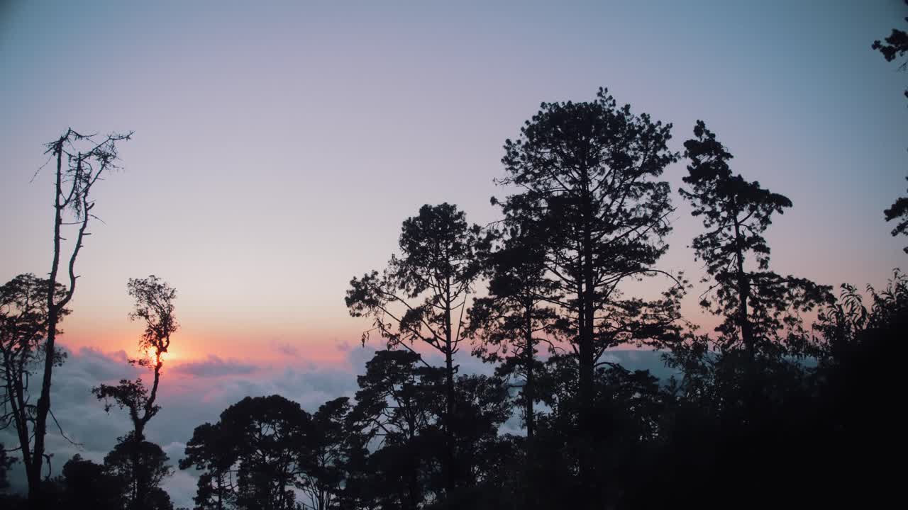 el sol se pone en un bosque de montaña por encima de las nubes en oaxaca, méxico 1