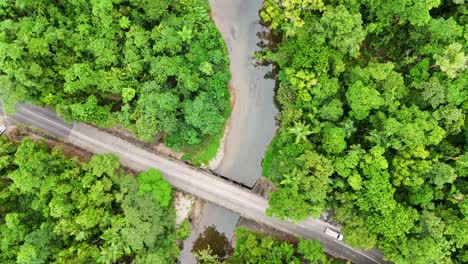 drone footage captures a dense rainforest and a bridge over a winding creek in port douglas, australia