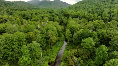 A-river-cutting-through-the-Adirondacks-in-upstate-New-York,-USA