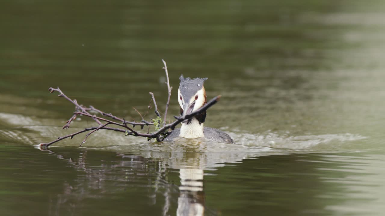 pescador con una rama