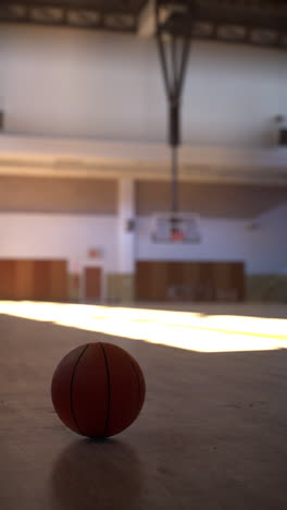 basketball court with a basketball in the center