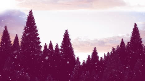 Winter scenery and falling snow